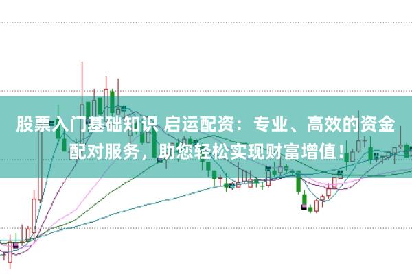 股票入门基础知识 启运配资：专业、高效的资金配对服务，助您轻松实现财富增值！