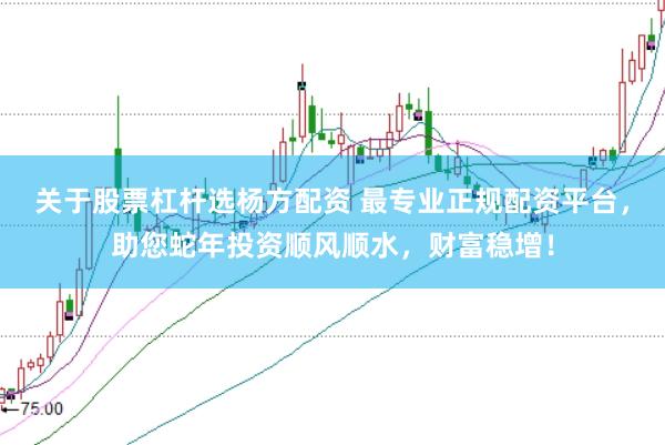 关于股票杠杆选杨方配资 最专业正规配资平台，助您蛇年投资顺风顺水，财富稳增！